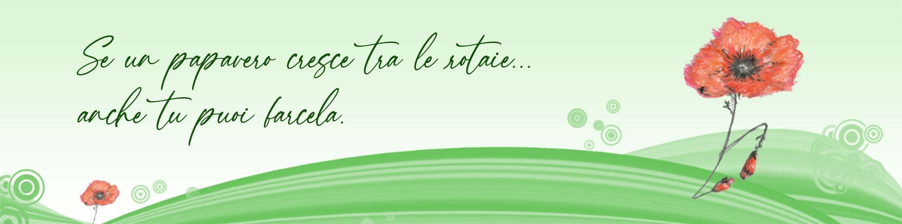 alexandra gradilone slide2a