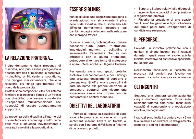 Brochure Siblings - Alexandra Gradilone retro